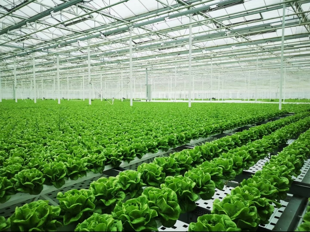 2491ca4e955e2e62b475b8d896970e89 2491ca4e955e2e62b475b8d896970e89