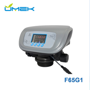 F65G1 Automatic Runxin Multiport Softener Valve 