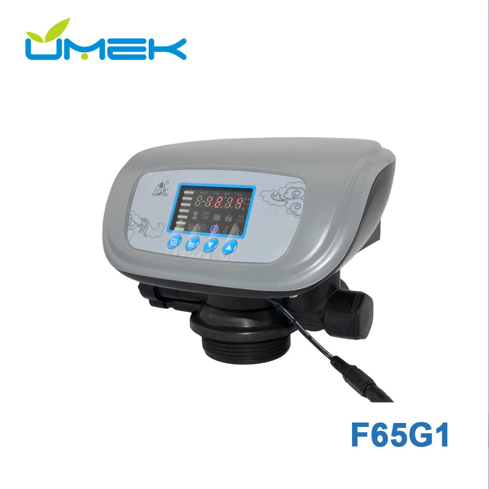 F65G1 Automatic Runxin Multiport Softener Valve 