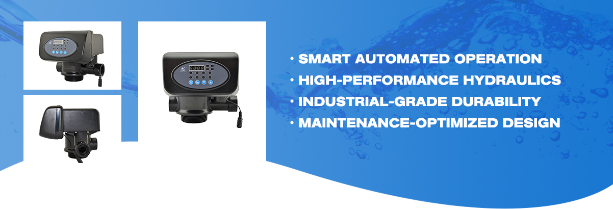 F67P1 Automatic Multiport Filter Valves PARAMETER