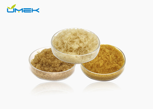 D113 FG Strong Acid Cation Exchange Resin