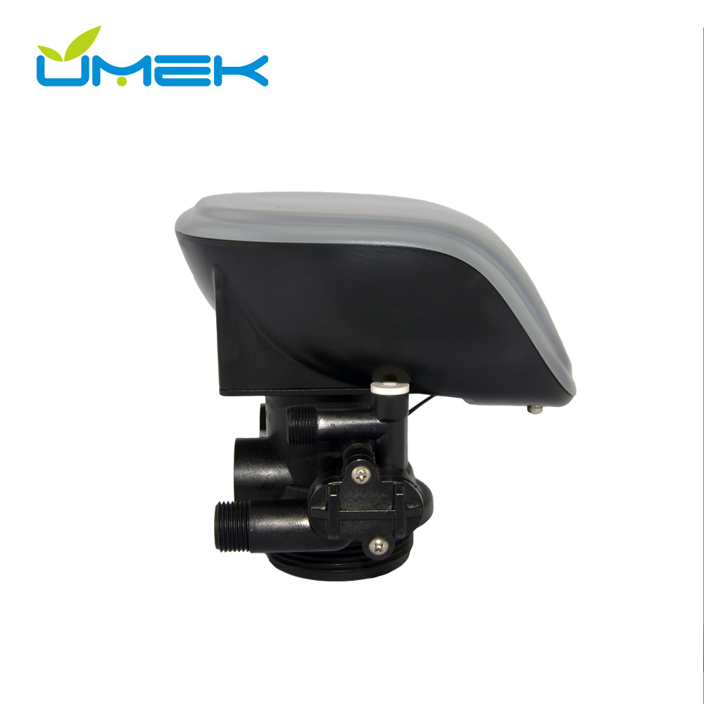 F65G1 Automatic Runxin Multiport Softener Valve 