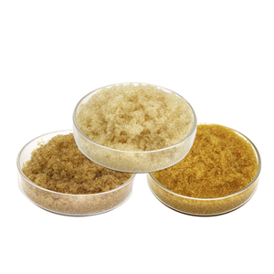 Water Softening Ion Exchange Resin
