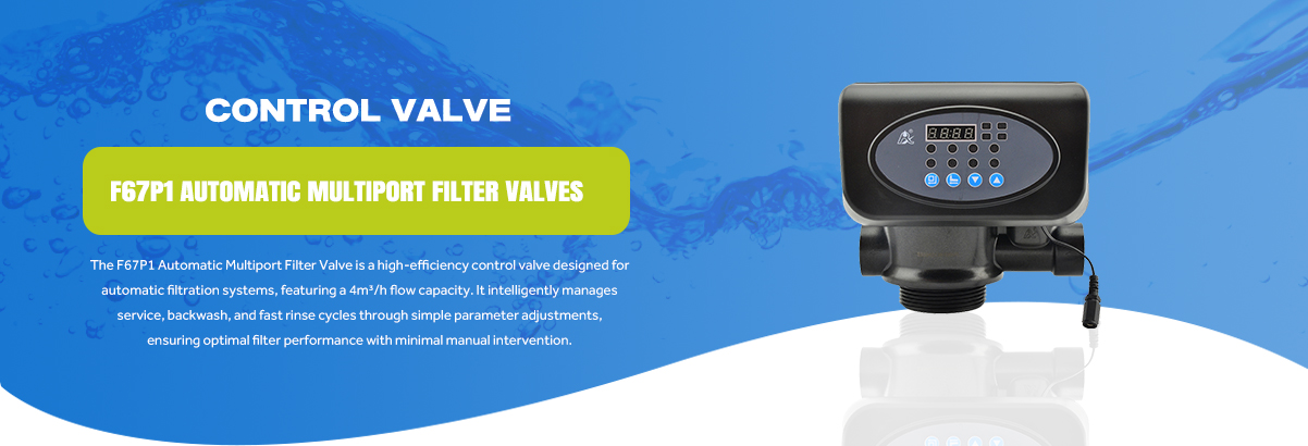 F67P1 Automatic Multiport Filter Valves