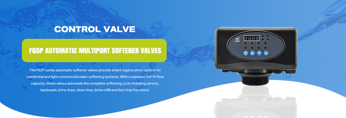 F65P Automatic Multiport Softener Valves