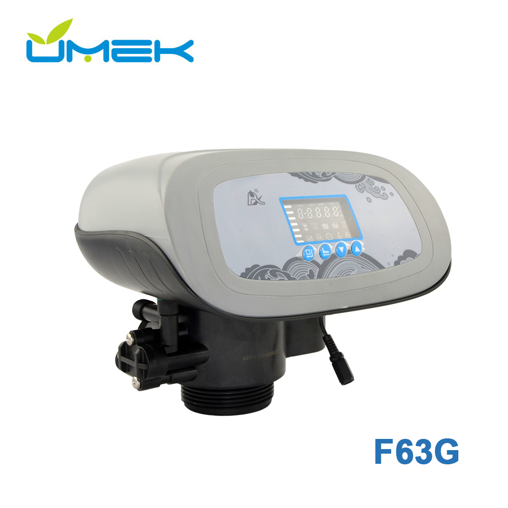 Runxin F63G Automatic Multiport Softener Valve