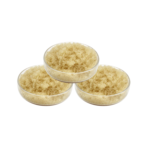 Condensate Polisher Resin