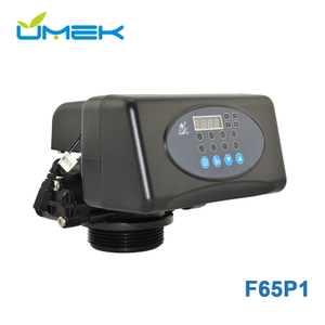 F65P1 Durable Timer Valve for U.S. Home Softener Systems