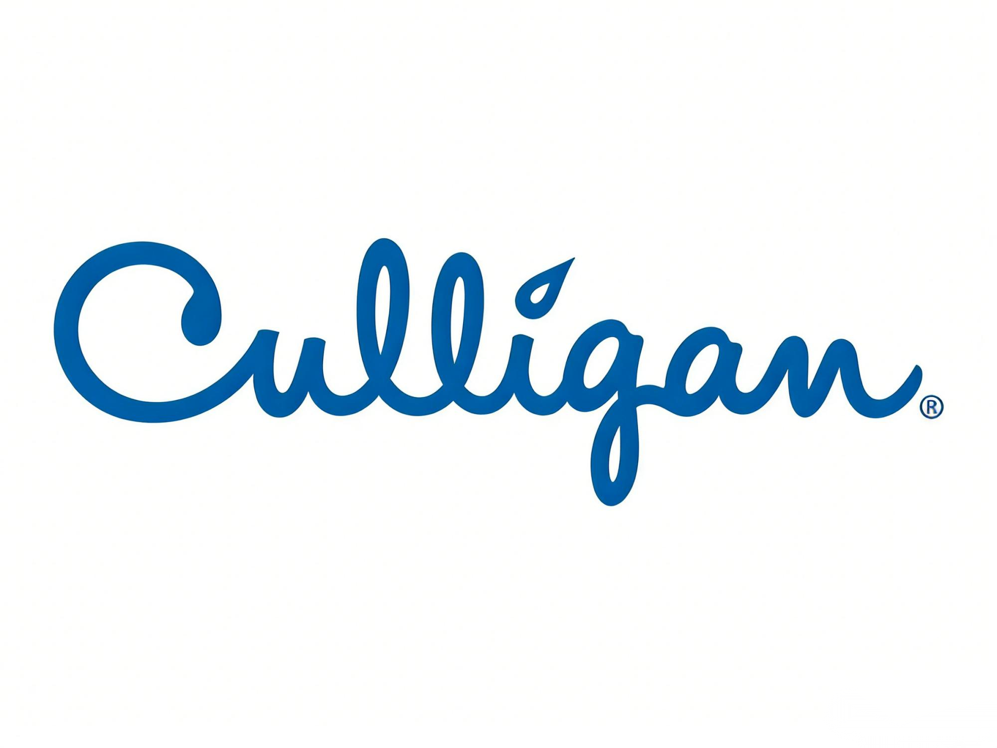 将美国前十大品牌文档翻译成英文 (3)