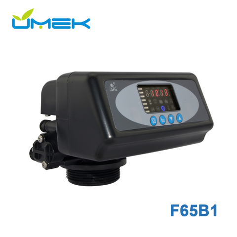 Runxin F65B1 Automatic Softener Control Valve