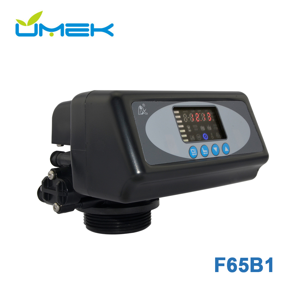 Runxin F65B1 Automatic Softener Control Valve