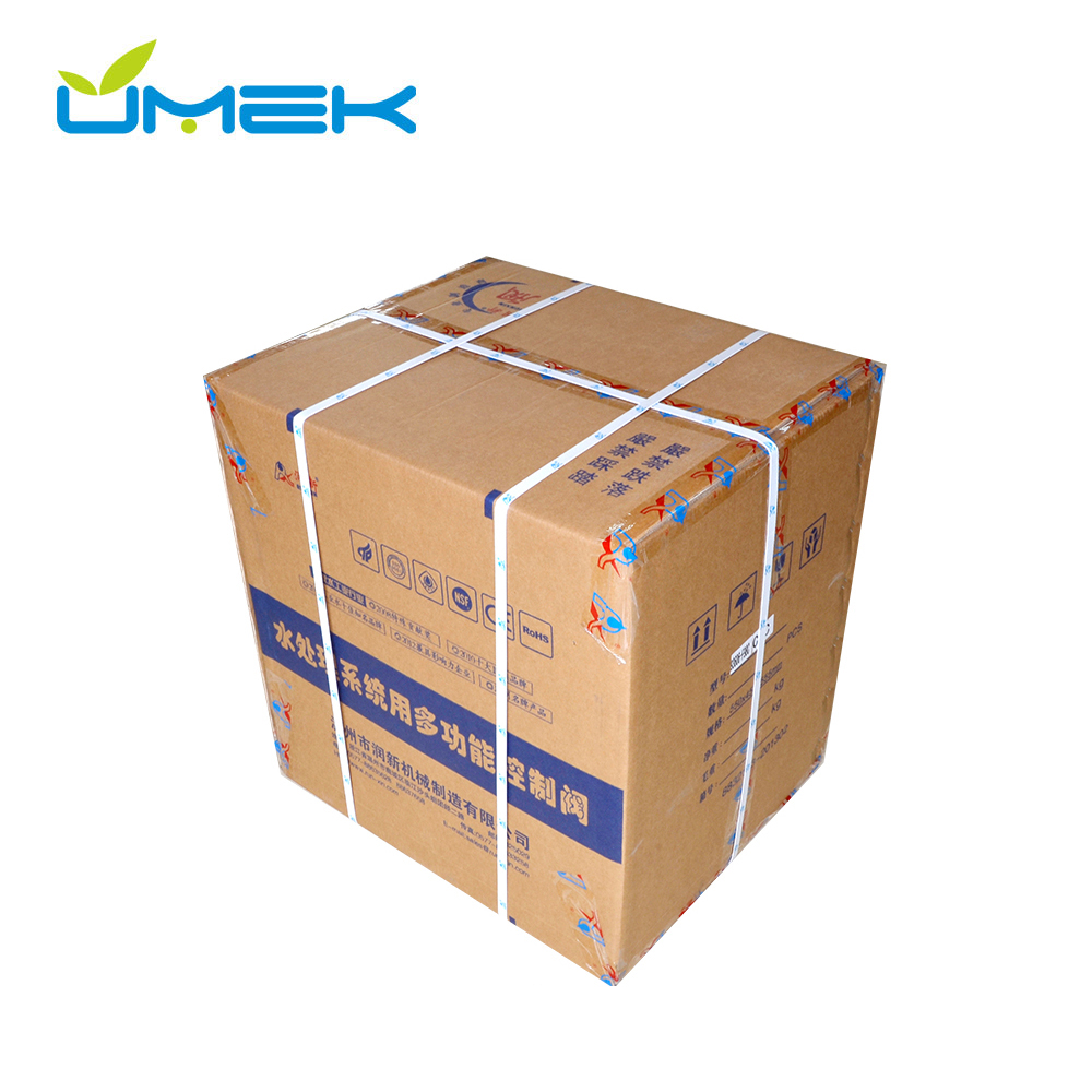 Runxin 93606 (F98C) Side-Mount Softener Head — 6 M³/h Meter-Type, Hot-Selling for Food Processing Made in China