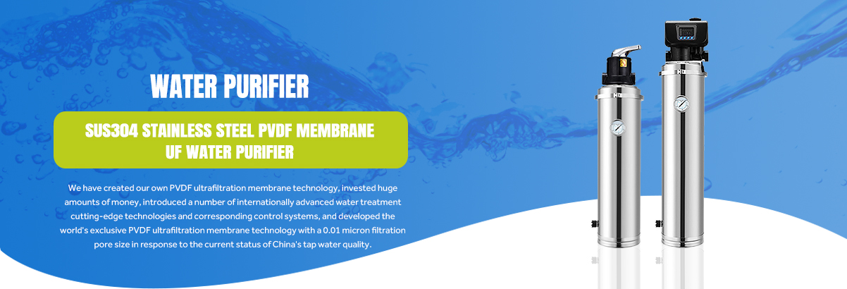 SUS304 Stainless Steel PVDF Membrane UF Water Purifier