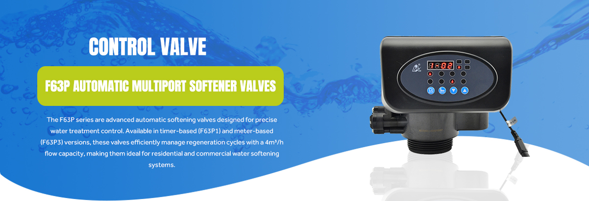 F63P Automatic Multiport Softener Valves