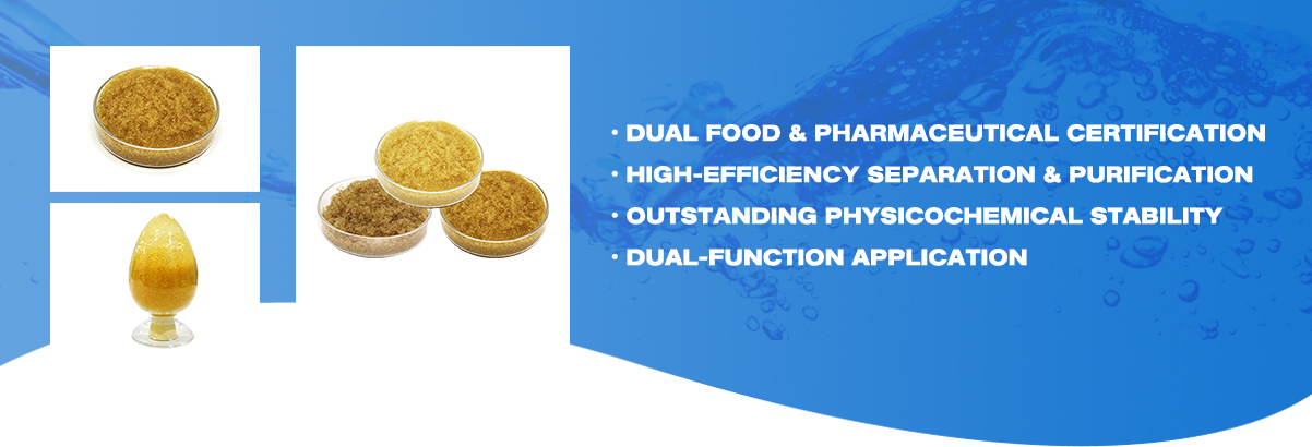 001X10 FG Na Strong Acid Cation Exchange Resin INDEX