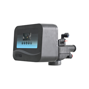 Dual Purpose FOBRITE CS100 Automatic Control Valve One Valve For Water Softener Resin Tank And Sand Carbon Filter Tank