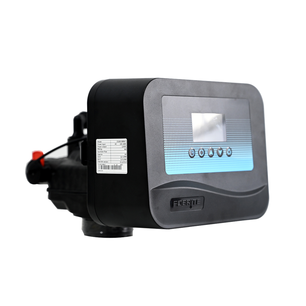 Dual Purpose FOBRITE CS100 Automatic Control Valve One Valve For Water Softener Resin Tank And Sand Carbon Filter Tank