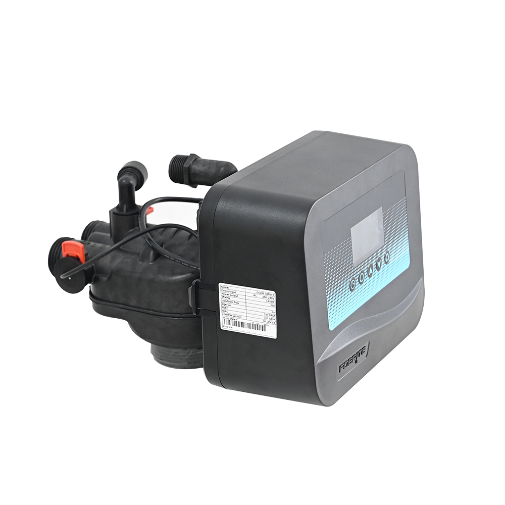 Dual Purpose FOBRITE CS100 Automatic Control Valve One Valve For Water Softener Resin Tank And Sand Carbon Filter Tank